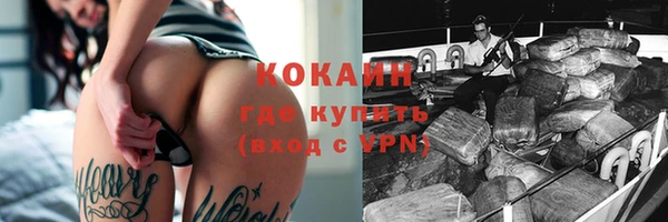 мдпв Дмитриев