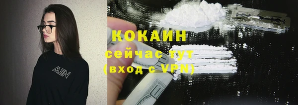 прущие грибы Дмитров