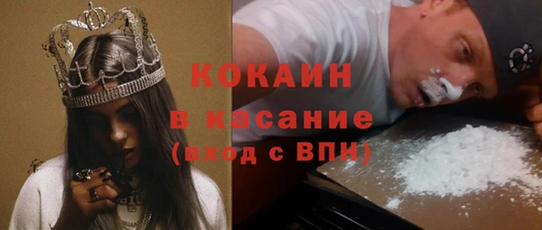 мдпв Дмитриев