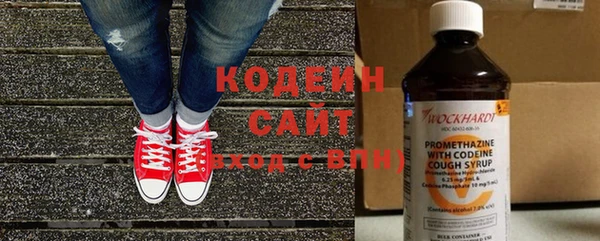 мдпв Дмитриев