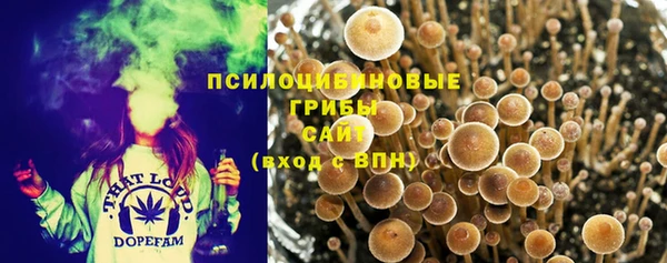 спайс Дмитровск