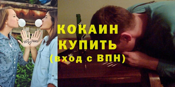 прущие грибы Дмитров