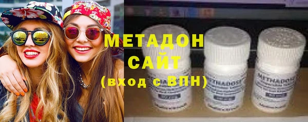 прущие грибы Дмитров