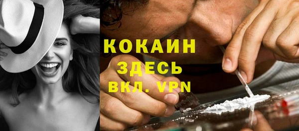 мдпв Дмитриев