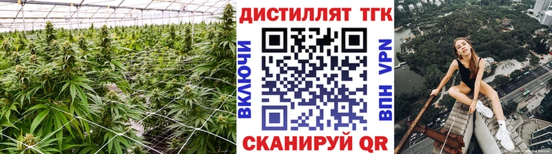 ТГК концентрат  Купить  Красноуральск 